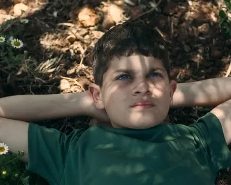 Israel's Culture Minister Threatens Cut Ophir Awards Funding After Palestinian-Themed Movie Wins Best Feature