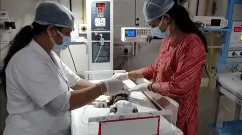 Infant Buried Living in the Country Battles for Existence