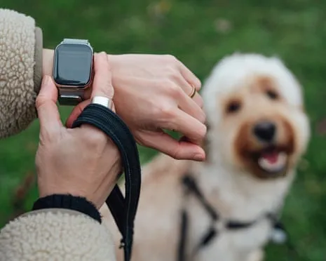 The Reality About Smartwatches? Daily Existence Improves Devoid of a Hectoring Gadget on Your Wristwear